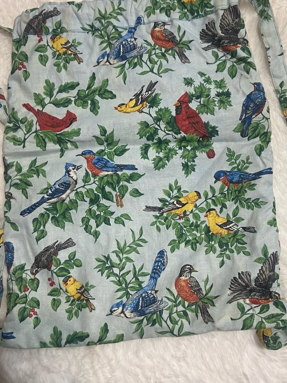 Stitches Bird-Print Drawstring Pouch in Blue, Green, Red, Yellow